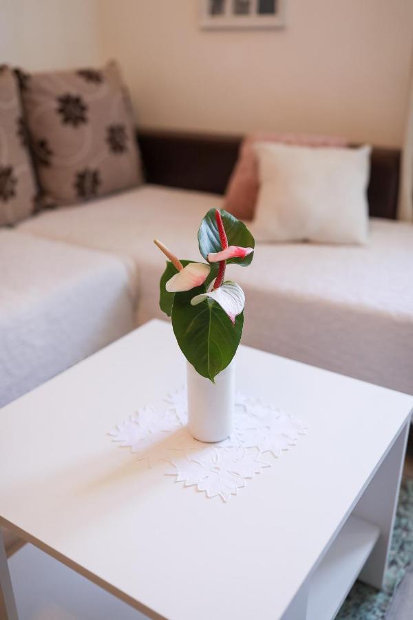 Apartment Rita ซาดาร์ ภายนอก รูปภาพ